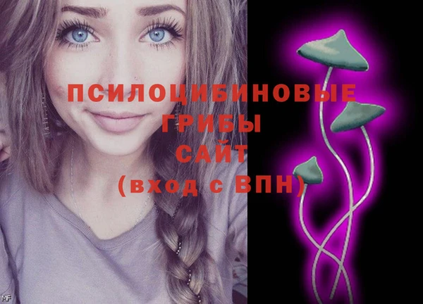 ECSTASY Нязепетровск