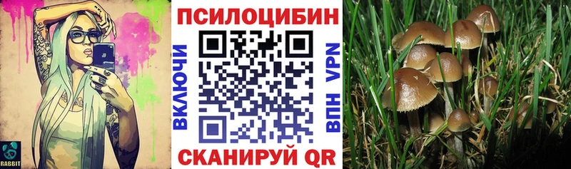Галлюциногенные грибы мухоморы  Сосновка 